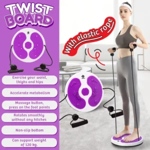 Waist Twisting Disc Figure Trimmer